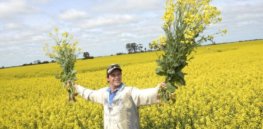 New South Wales, Australia poised to lift GM crop cultivation ban in July, sparking debate between farmers and environmentalists