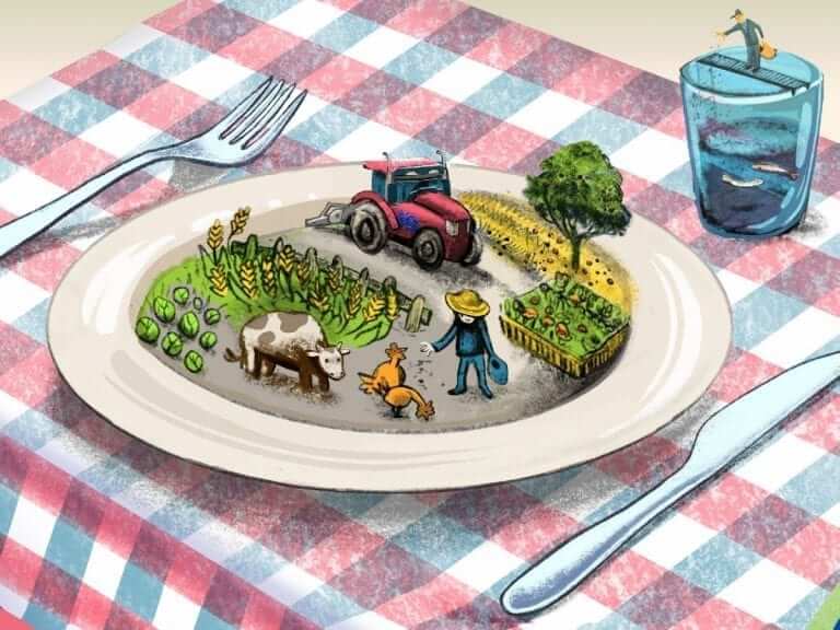 EU pitches 23 ‘actions’ to achieve Farm 2 Fork targets, including promoting organic food in schools
