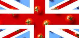 Nature editorial: Post-Brexit, the UK should embrace gene editing in food and agriculture while taking safety concerns seriously