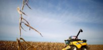 Viewpoint: ‘Science-based trade’ — Why the US should dispute Mexico’s glyphosate, GM corn bans at the WTO