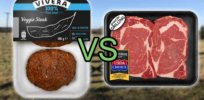 Cattle industry sees real competition in growing alternative meat industry