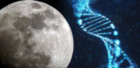Lunar DNA ark? Scientists want to cryogenically store the genes of 6.7 million species on the moon, just in case