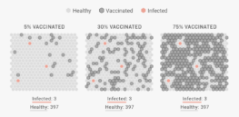Simulation: Here’s how herd immunity works