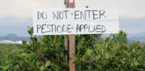 EU ‘Green Deal’ could mandate 50% cut in pesticide use, include tax on ‘most dangerous’ chemicals
