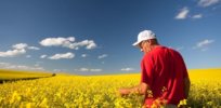 Blocking innovation: How Canada’s novel plant-breeding rules hinder progress in food production
