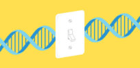 How does CRISPR’s ‘on-off switch’ work? How will it revolutionize genetic research and the development of therapies?