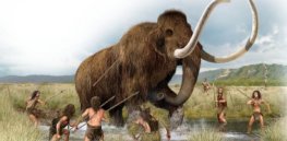 Humans are ‘super-predators’ hardwired by evolution to hunt our food sources into extinction