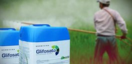 Mexico 2024 glyphosate ban put on hold after Bayer successfully challenges presidential decree
