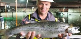 Florida Atlantic salmon? Recirculating aquaculture systems without antibodies or vaccinations poised to spur boom in in-land fish farming