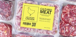 What will it take for consumers to embrace lab-grown meat?