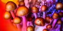Psilocybin ‘magic mushrooms’ shown to be as effective as pharmaceuticals in treating depression