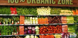'Organic agriculture is not a synonym for safe food’: United Nation’s FAO challenges misleading marketing and public misconceptions