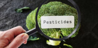 Do pesticide residues on crops pose a hazard? Latest EU Food Safety Authority report says no