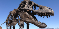 2.5 billion: That’s how many T. rexes may have roamed the Earth over their 3-million-year reign