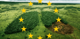 Organic farming has a sustainability problem — and now the EU is in a dilemma of their own making