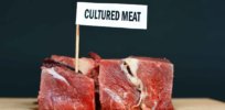 Viewpoint: Cell-based meat on sale in Europe within 3-5 years? While the rest of the world innovates in food technology, politics and bureaucracy paralyze EU