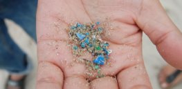 Microplastics are overwhelming the environment. Here’s how we could mobilize bacteria to clean up our pollution mess