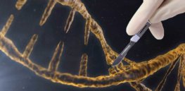 Could we cut out cancer genes using CRISPR gene editing?
