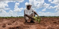 Climate change is roiling the African continent. With cutting-edge biotech solutions largely blocked, governments rely on tweaks of more traditional technologies to boost output