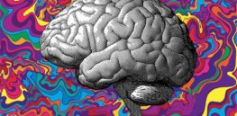 Brain scans show how LSD works to unlock the brain and treat depression