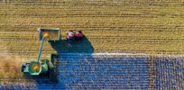 Viewpoint: If the EU is serious about its Farm to Fork goals, it must address massive ‘yield gap’ between conventional and organic farming. Ag biotechnology is the solution