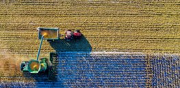 Viewpoint: If the EU is serious about its Farm to Fork goals, it must address massive ‘yield gap’ between conventional and organic farming. Ag biotechnology is the solution