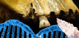 In research breakthrough, ancient human remains can now be preserved and analyzed without destroying genetic material