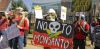 Mexican court upholds 2024 government ban of Bayer's Roundup weedkiller