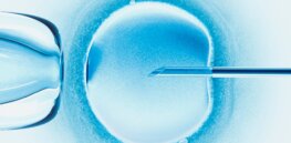 GLP podcast: Making babies in the lab? The messy ethics of embryo selection