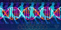 Genetic medical astrology? Nutrigenomic DNA tests: Can you prime your health by tailoring diet and exercise to your biology?