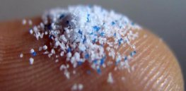 How prevalent are microplastics in our environment? How harmful are they?