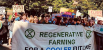 Viewpoint: Advocates for regenerative agriculture greet questions about its viability 'not with facts or science but with defensive hype'