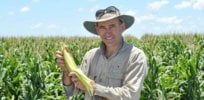 Viewpoint: ‘Bt corn is the way to go’ — Why Australia needs insect-resistant GE corn to fight invasive fall armyworm moth infestations