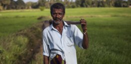 Viewpoint: Warning to Sri Lanka — Tunnel vision embrace of an organic-only farming model sets country up for economic and environmental backwardness