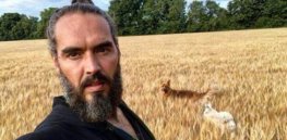 Biotech colonialism? Comedian Russell Brand claims Bill Gates is 'buying up stolen land' to 'take over the global food system'. Here's what he got wrong