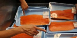 Genetically modified AquaBounty salmon hits US markets after two decades of regulatory delays — and it’s already sold out