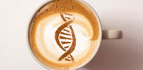 Cappuccino or espresso? How genetics actively regulates the amount of coffee we regularly drink