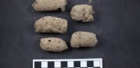 Ancient poop could save lives: ‘Exquisitely preserved’ lost microbes discovered in 2,000-year old feces could help battle chronic illnesses