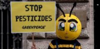 Viewpoint: Why banning neonicotinoids is a well-meaning but misguided strategy to protect bees and other pollinators