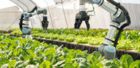 Viewpoint — ‘Less food waste, lower carbon footprints and a socially sensitive food system’: Tech-enabled farming intensification is the only science-based path to sustainability