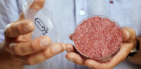 ‘Protein transition’: Everything you need to know about the coming clean, cultured, alternative meat revolution