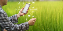 How AI is rewriting the book on food and farming sustainability