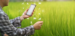 How AI is rewriting the book on food and farming sustainability