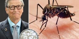 Is Bill Gates behind the release of disease-fighting sterile GMO mosquitoes in Florida?