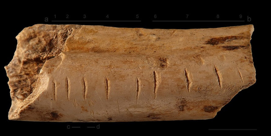 An instinct for numbers? Ancient humans and even some animals evolved the ability to count