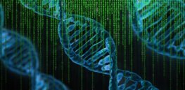 Our DNA can store a staggering amount of information in an almost inconceivably small volume