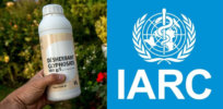 Viewpoint: It’s time for a reassessment of the International Agency for Research on Cancer (IARC)'s role in sabotaging glyphosate, one of the world’s most popular — and safest — herbicides