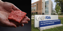 Is the FDA up to the task of reviewing the coming onslaught of lab-made cell-based meat and seafood?