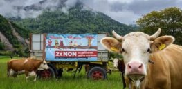 Swiss voters ‘overwhelmingly’ reject activist-proposed synthetic pesticide ban, referendum results show