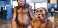 Homo sapiens reevaluated: Why the definition of ‘modern human’ is undergoing a revamp